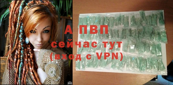 трава Абаза