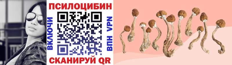Псилоцибиновые грибы MAGIC MUSHROOMS  kraken ССЫЛКА  Смоленск 